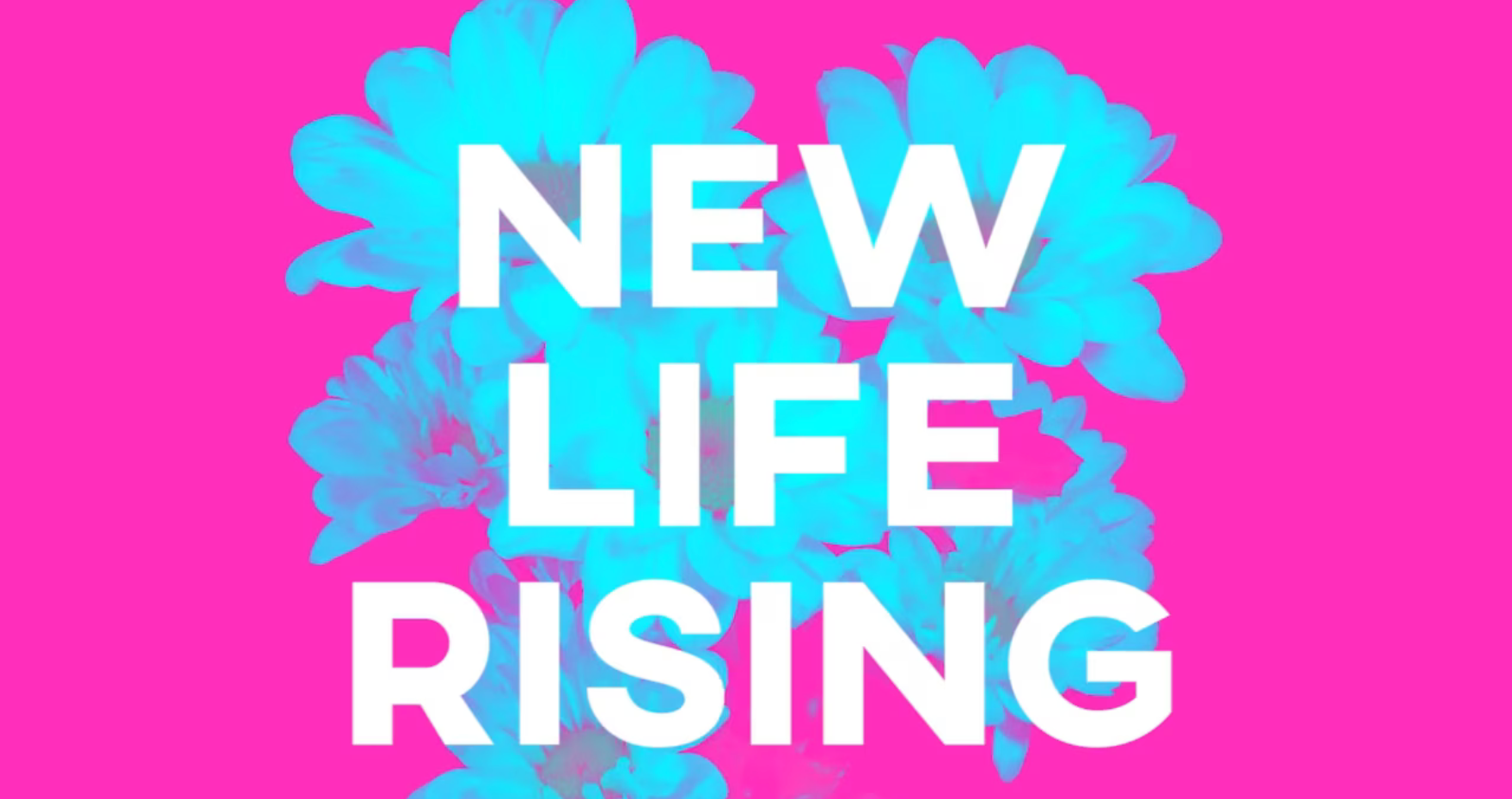 Abstract representation of TruMedia Creative differentiators